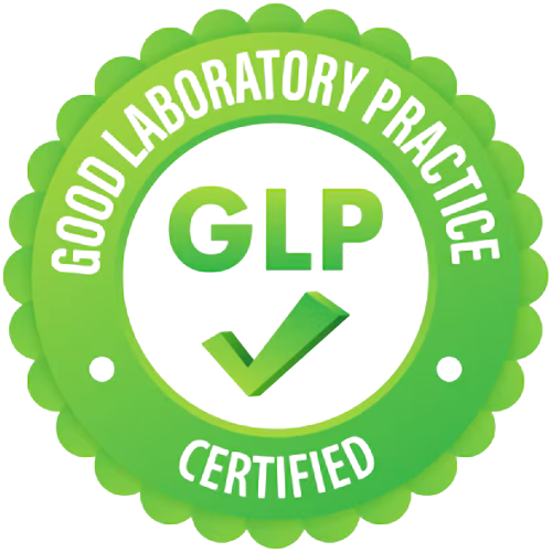 Home transparent photoroom (2)