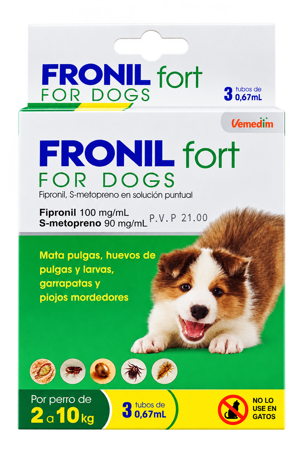 chatgpt image 28 ago 2026, 15 32 04 chatgpt image 28 ago 2026, 15 32 04