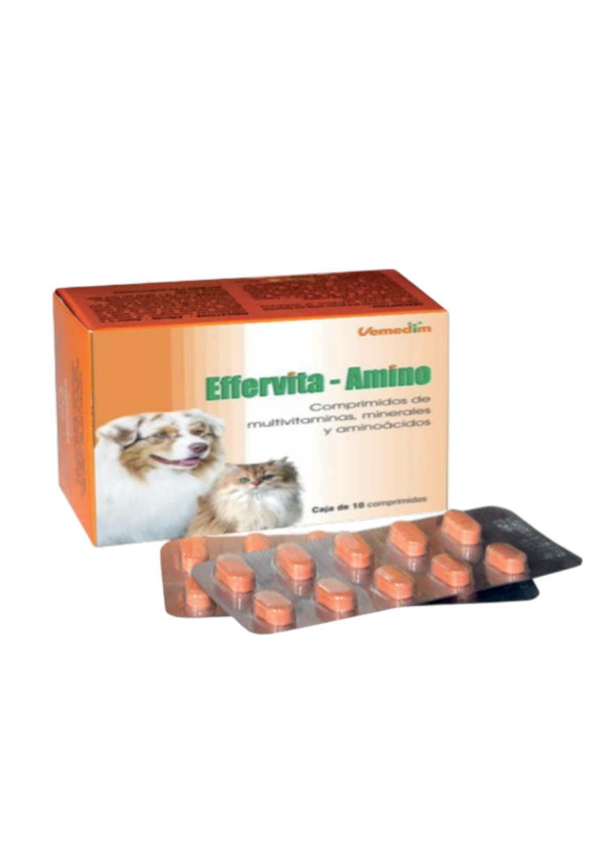 effervita amino effervita amino